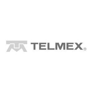 Telmex-g